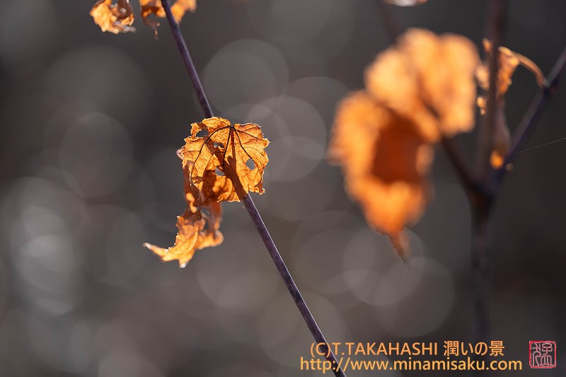 ../Images/7R251123 (40).jpg